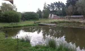Spokojne łowisko nowe marzy o złowieniu okazałej ryby. Woda odbija drzewa, a w tle widać budynki i las.