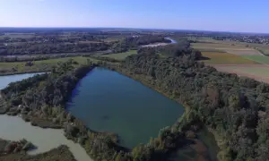 Malownicze, dzikie wody sportowe, idealne na łowisko karpiowe. Otoczone bujną zielenią, z dala od cywilizacji.