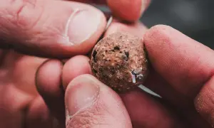 Dłonie trzymają kulkę pelletu z haczykiem. Prosty sposób, jak założyć pellet na haczyk, by łowić ryby.