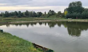 Spokojne łowiska komercyjne na Dolnym Śląsku, z zielonymi brzegami i odbijającymi się w wodzie drzewami.