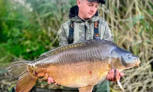 Wędkarz trzyma ogromnego karpia z łowiska Niwka. To prawdziwy okaz, extra carp!