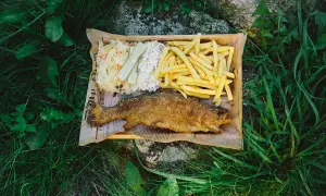 Smażony karp z frytkami i surówką, idealny wybór z menu Stawy Biskupie.