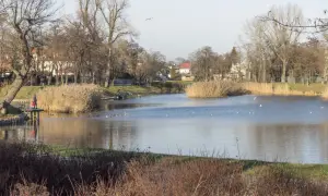 Spokojne stawy cietrzewia w Warszawie, z ludźmi na pomoście i ptakami pływającymi po wodzie, otoczone drzewami i trzcinami.