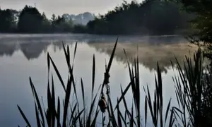Łowisko Owczarnia - najlepsze miejsca na wędkowanie w Małopolsce