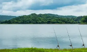 Jak zrobić wędkę na grunt - proste kroki i najczęstsze błędy