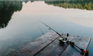 Jaką wędkę teleskopową na spławik wybrać, aby nie żałować?