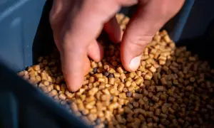 Dłoń miesza pellet wędkarski w pojemniku. To kluczowy etap, jak zrobić pellet wędkarski, by był idealny na łowisko.