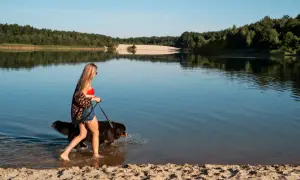 Kobieta z psem spaceruje brzegiem jeziora Dzierżno Duże. Piękny letni dzień nad wodą.