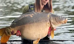 Eko Lakes Wójcina - idealne łowisko karpiowe z wyjątkowymi rybami