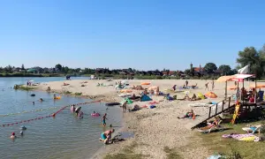 Słoneczny dzień na piaszczystej plaży bobrowego rozlewiska w Zabierzowie Bocheńskim. Ludzie opalają się, kąpią i bawią w wodzie.