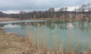 Spokojne jezioro w Kobylanach, otoczone trzcinami i drzewami. Idealne miejsce na wielkie łowy.