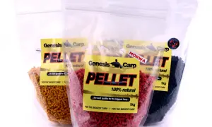 Jaki pellet na haczyk wybrać, aby skutecznie łowić ryby?