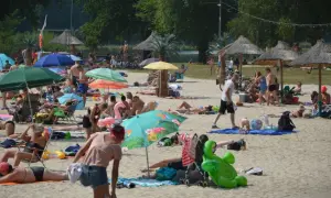 Słoneczna plaża nad zalewem w Małomicach tętni życiem. Ludzie odpoczywają pod parasolami, opalają się i relaksują na piasku.