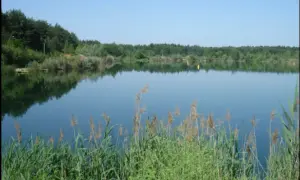 Łowisko Okoń w Janówku Pierwszym - Idealne miejsce na wędkowanie