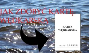 Jak zdobyć kartę wędkarską - uniknij najczęstszych błędów i pułapek
