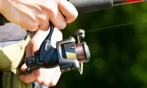 Żyłka czy plecionka na spinning: co wybrać, by nie żałować?