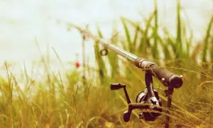 Wędka spławikowa z kołowrotkiem na tle trawy i wody.