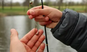 Pokazuję, jak zakładać robaka na haczyk, przygotowując się do wędkowania nad wodą.