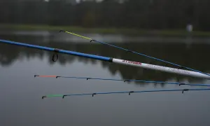 Wędki Robinson Stinger Method Feeder z kolorowymi szczytówkami na tle spokojnej wody i drzew.