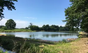Cennik łowiska pod borem: poznaj ceny i warunki rezerwacji