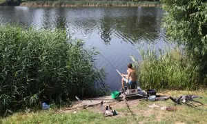 Łowisko Łabędź: najlepsze miejsca na wędkowanie i tajemnice ryb