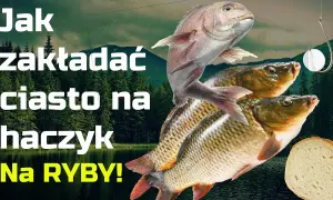 Jak zakładać ciasto na haczyk, aby poprawić swoje połowy ryb