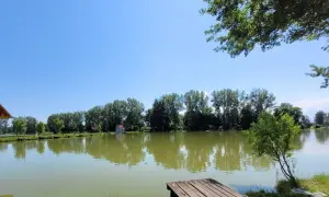 Łowisko Bąków - idealne miejsce na wędkarskie przygody i relaks