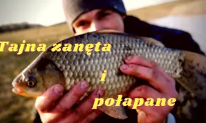 Domowa zanęta na karasia: skuteczny przepis na udane wędkowanie