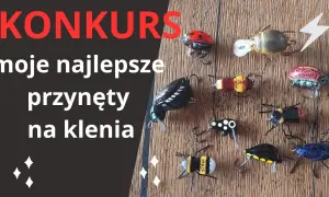 Najlepsze przynęty kleniowe: jak złapać klenie w każdych warunkach