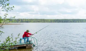 Ile kosztuje wędka? Poznaj ceny i co wpływa na ich wysokość
