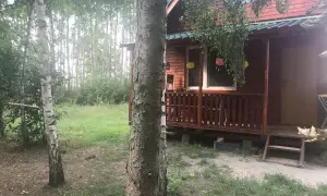 Drewniany domek na łowisku Admar w Dąbiu Lubuskim, otoczony zielenią i drzewami.