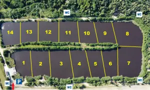 Widok z lotu ptaka na łowisko Borowy Staw. Stawy podzielone na sektory z numeracją od 1 do 14. Widać parking (P) i toalety (WC).