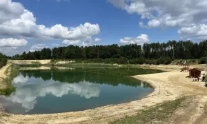 Zbiornik Czarna Sędziszowska z piaszczystą plażą i lasem w tle. Błękitne niebo z białymi chmurami odbija się w spokojnej tafli wody.