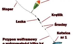 Jak przygotować wędkę na grunt, aby złowić więcej ryb?