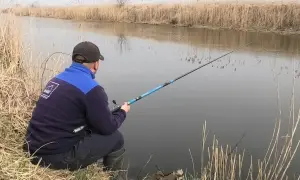 Wędki bolonki na jakie ryby: zaskakujące gatunki, które możesz złowić