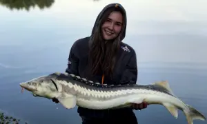 Jaki haczyk na jesiotra: wybierz najlepszy sprzęt na udane połowy