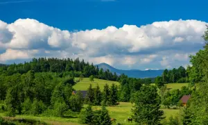 Zielone wzgórza, lasy i góry tworzą krajobraz jak z bajki. Dwa konie pasą się na łące, a w oddali widać szczyt góry. To idealne miejsce na spacer po parku mega ryb.