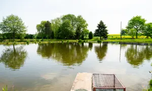 Fischland łowisko i smażalnia ryb. Spokojna woda, zielone drzewa i ławki zapraszają na relaks i wędkowanie.
