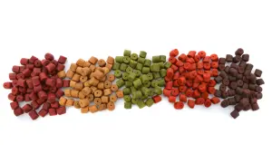 Rzędy kolorowego pelletu wędkarskiego: czerwonego, brązowego, zielonego, pomarańczowego i ciemnobrązowego.