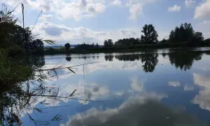 Łowisko zawodzie - poznaj zasady, ryby i atrakcje w Czechowicach