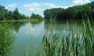 Idealne łowisko w Dawidach - poznaj najlepsze miejsca na ryby