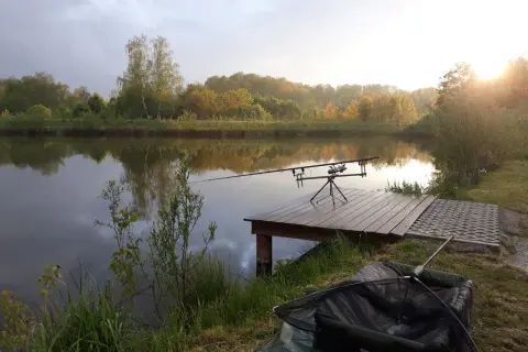 Spokojne łowisko pod borem. Wędki na statywie czekają na branie przy spokojnej tafli wody. W tle drzewa i zachodzące słońce.