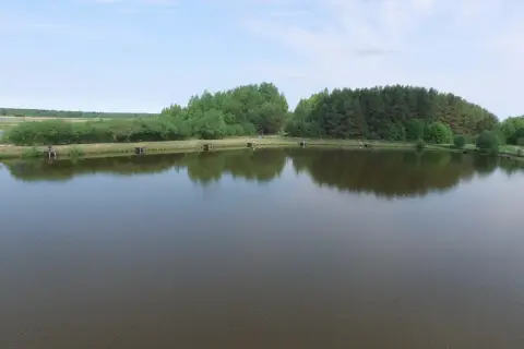 Widok na łowisko z pomostami i drzewami w tle, odbijającymi się w spokojnej wodzie.