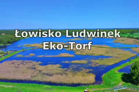 Łowisko Ludwinek Eko-Torf, malowniczy zbiornik wodny otoczony trzcinami i zielenią, idealne miejsce dla wędkarzy.