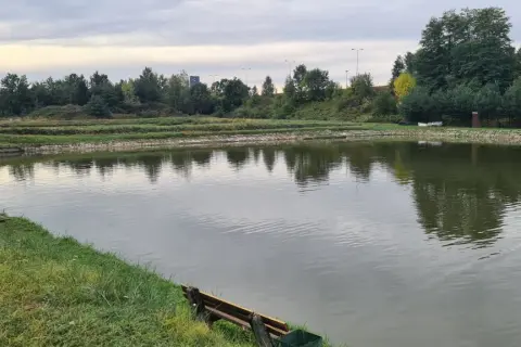 Spokojne łowiska komercyjne na Dolnym Śląsku, z zielonymi brzegami i odbijającymi się w wodzie drzewami.