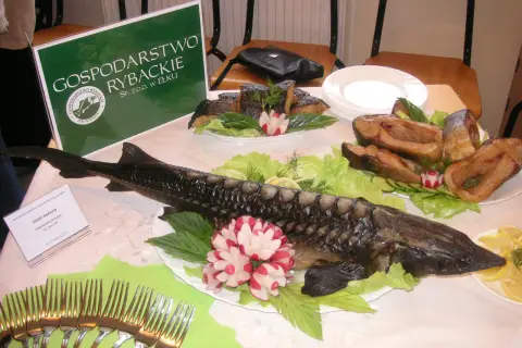 Wędzony jesiotr i inne ryby z gospodarstwa rybackiego Ełk, ozdobione warzywami i ziołami.