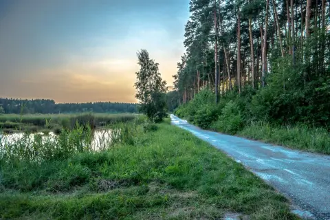 Droga przez las nad stawami w Mielcu, oświetlona zachodzącym słońcem.