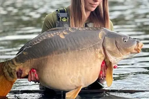 Eko Lakes Wójcina - idealne łowisko karpiowe z wyjątkowymi rybami