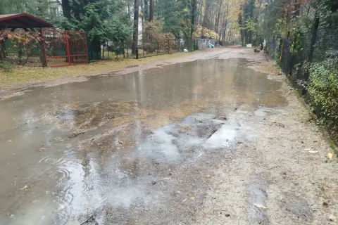 Po ulewnym deszczu powstał duży staw na drodze w Sokolnikach w lesie. Woda odbija drzewa i niebo.