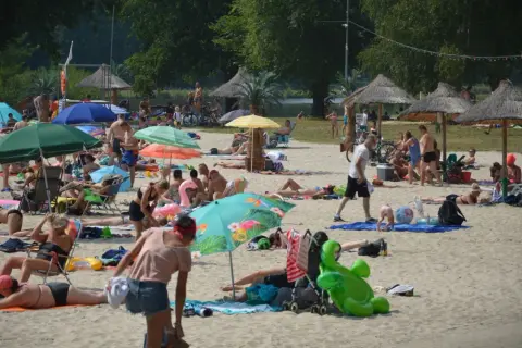 Słoneczna plaża nad zalewem w Małomicach tętni życiem. Ludzie odpoczywają pod parasolami, opalają się i relaksują na piasku.